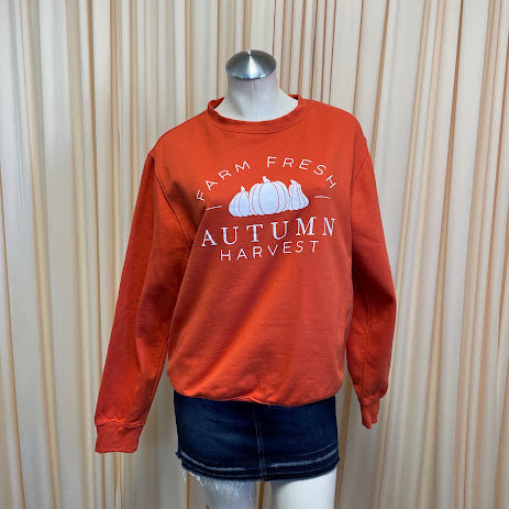 Sweaters Ivy and Cloth Size Medium