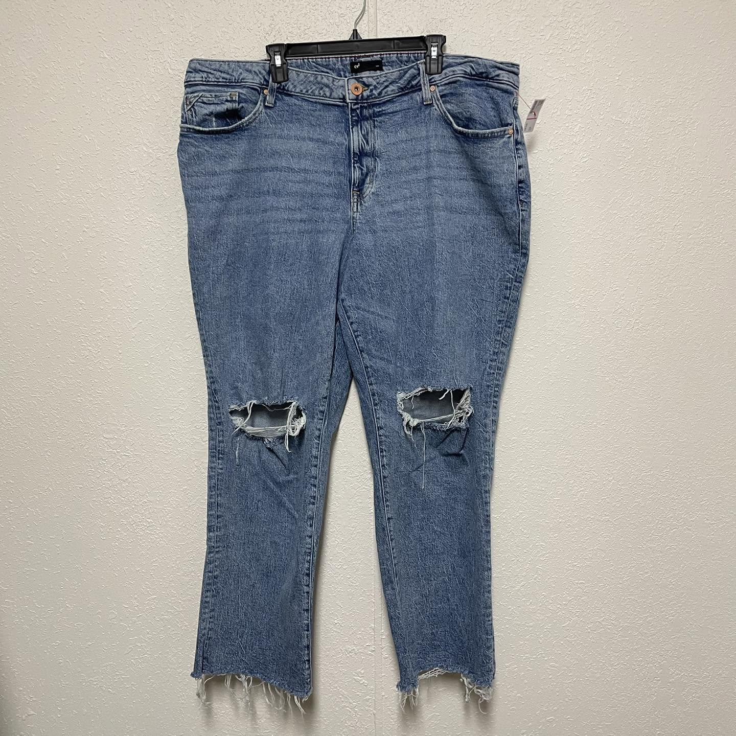 Jeans edgely Size 24
