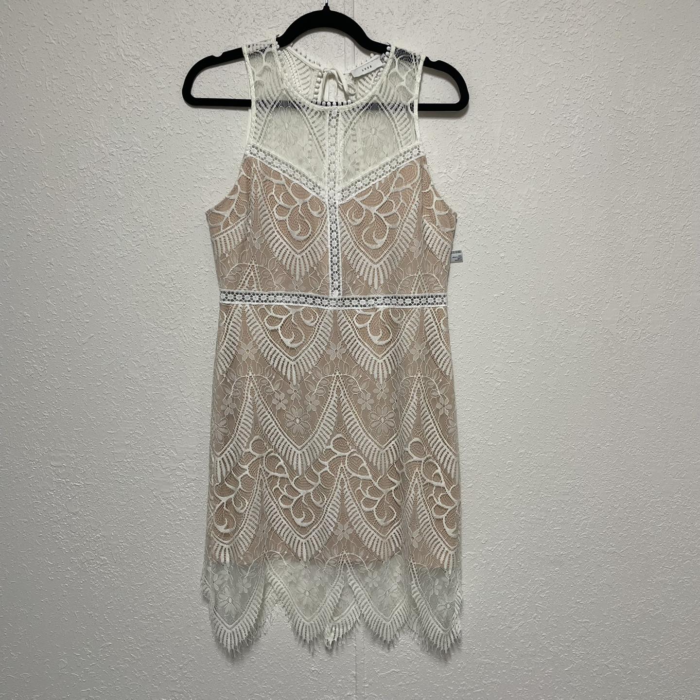 Dresses Lush Size Large