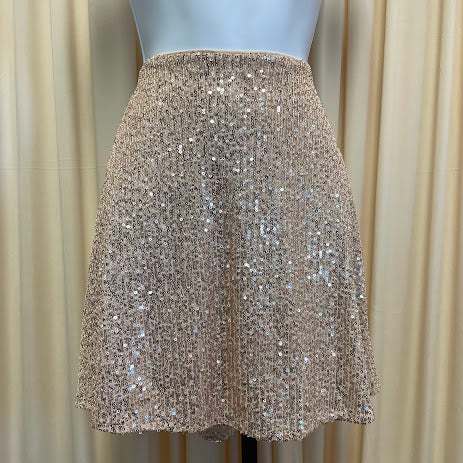 Skirts Everyday Chic Size Small