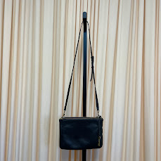 Crossbody Fossil